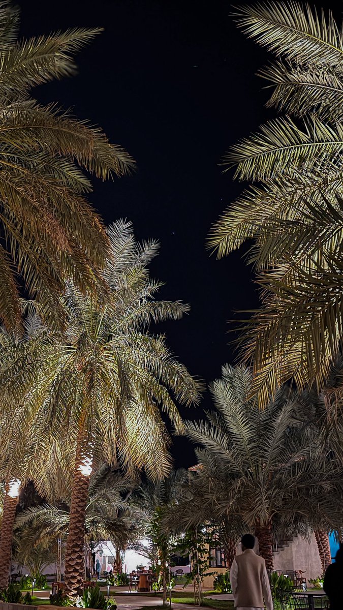 الليل ستر الفضاء والطيب ستر النظام
و الصمت ستر الشعور الا على المنتبه