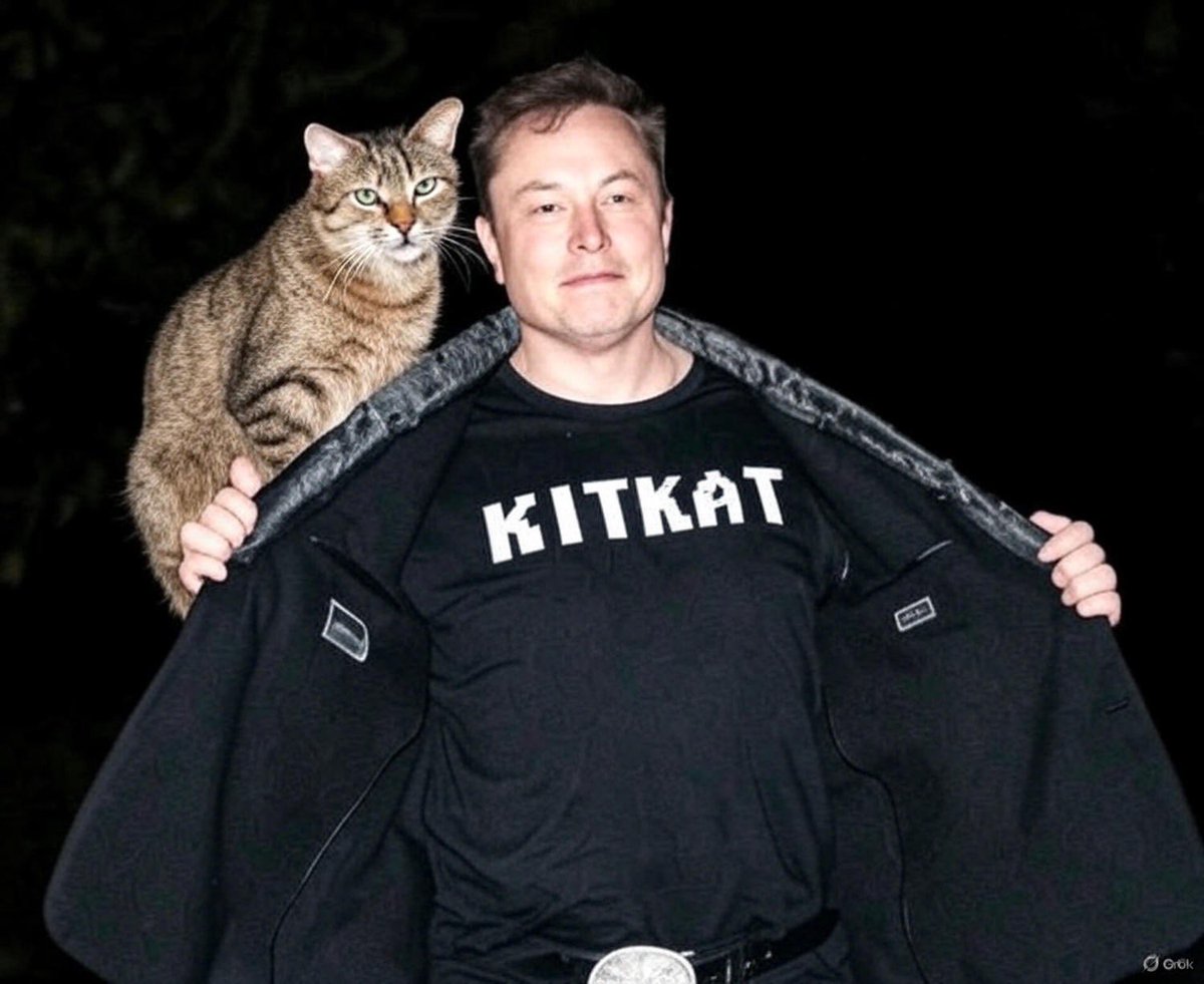 BigDevTX's tweet image. #kitkat 

D11iMRogRadcfu3PSY3xbdc8RWRwq5HVXpxm8s2epump