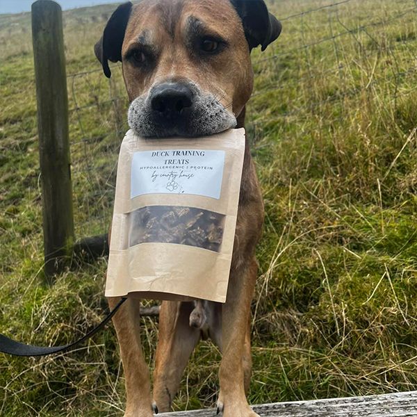 PresentsGalore tweet media