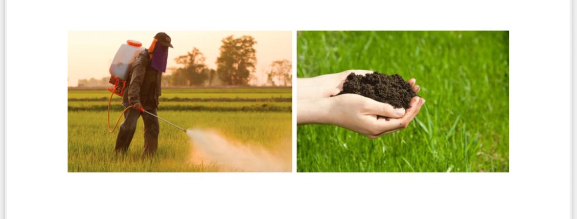 “So can you explain your JMP to a 10 year old?” I am at the #SEA in Tampa &amp; just explained my #JMP to my cab driver &amp; he asked several important questions! 🥹  Best of luck to fellow JMCs! Let’s not lose hope in these difficult times! #econjobmarket #EconTwitter