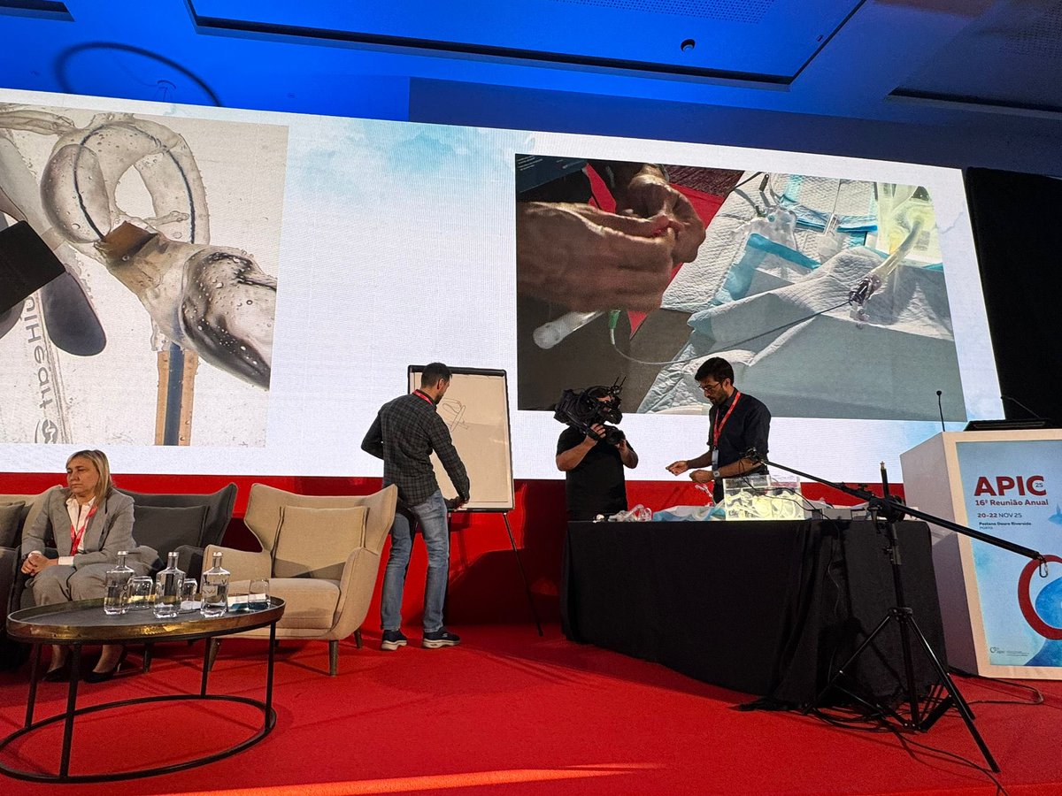 João Silva Marques tweet media