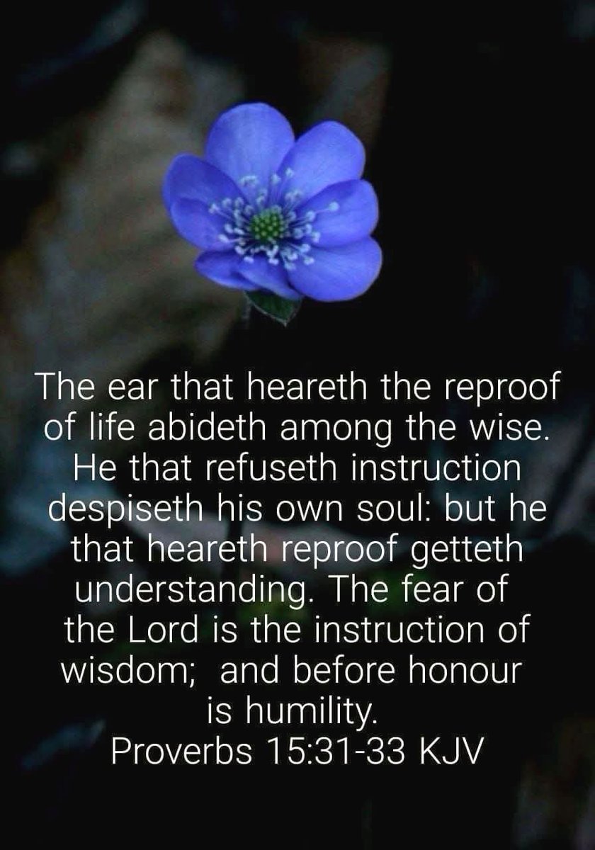 Stewart7Donna's tweet image. Let our ear hear the reproof of life that we may abide among the wise.