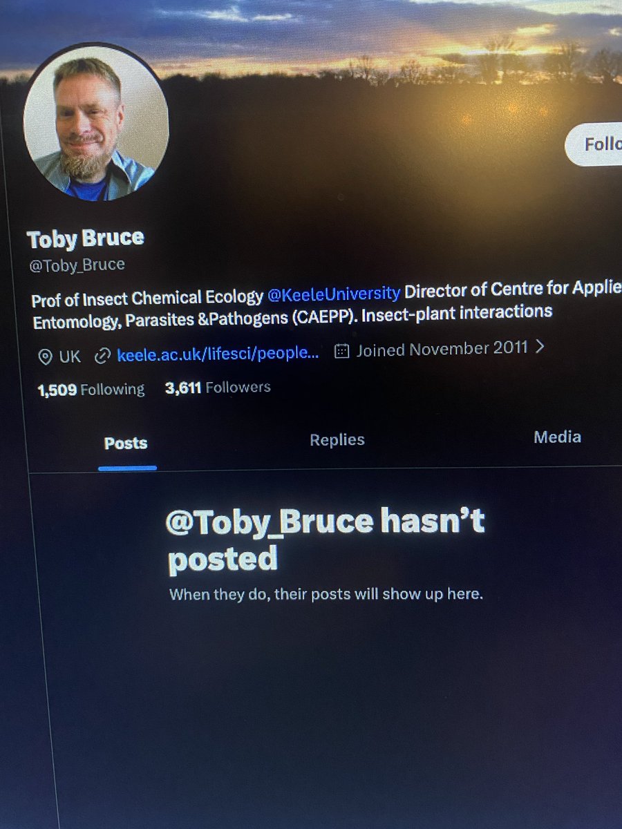 Toby Bruce tweet media