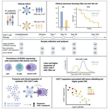 Cancer_Cell's tweet image. Online Now: A longitudinal single-cell atlas to predict outcome and toxicity after BCMA-directed CAR T cell therapy in multiple myeloma dlvr.it/TPRhN2