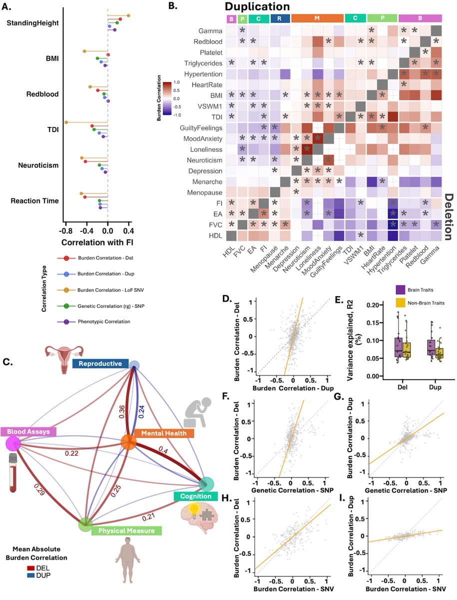 kkumar_iitkgp's tweet image. 11. Findings 2: Deletions vs. Duplications

Deletion (DEL) CNVs showed a stronger, broader impact than duplications (DUP). DELs showed a higher proportion of significant associations across all 5 trait categories.
