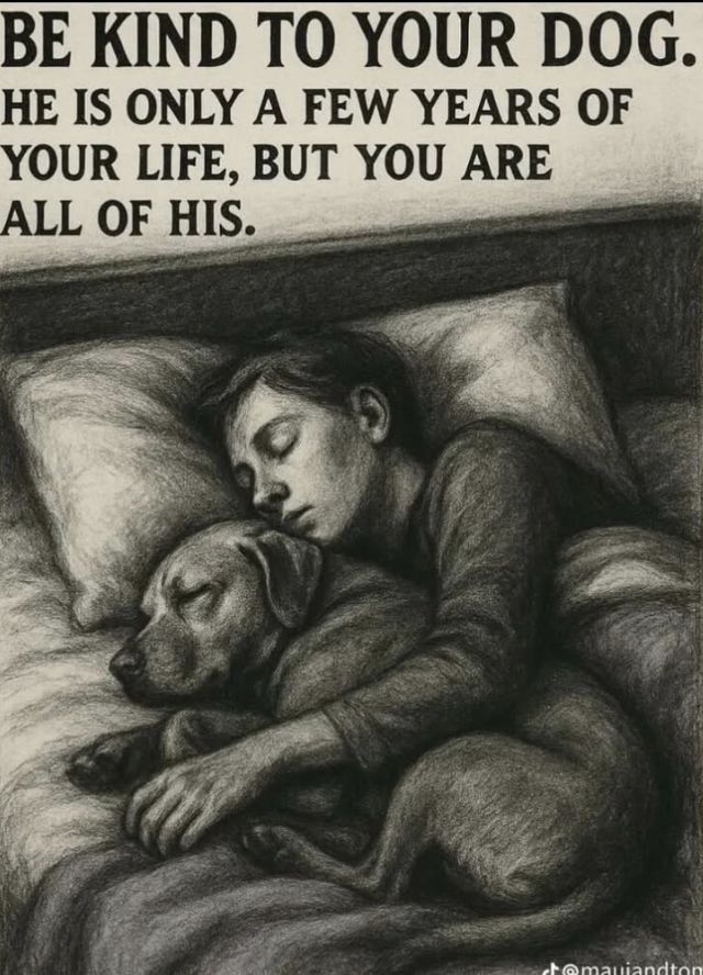 Tack för idag ✨🌙