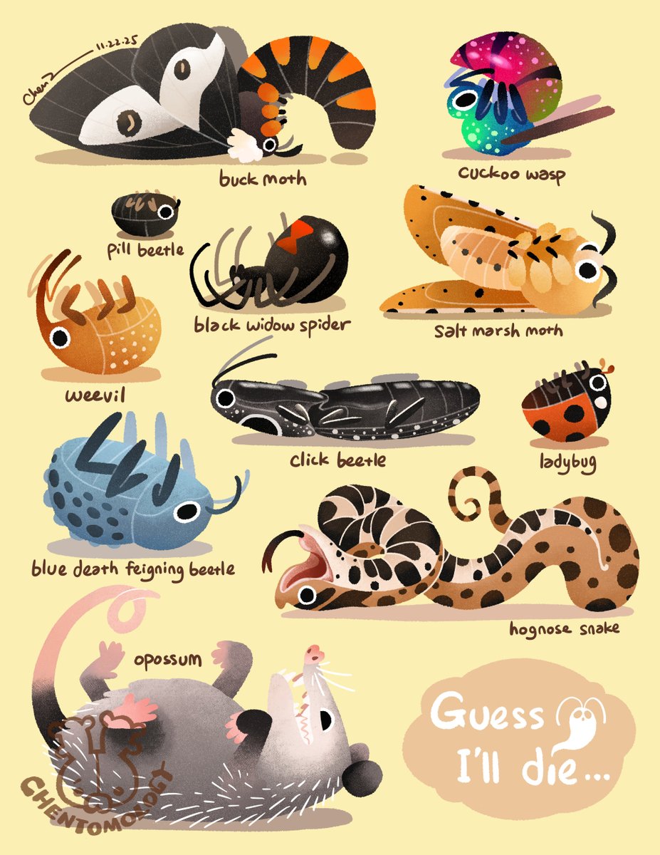 ittle critters playing dead! 🐛🪲💀

I’ve been sick after a period of intense work but on the other hand I was able to slow down and draw something fun &amp; relaxing… hope you folks enjoy it too!