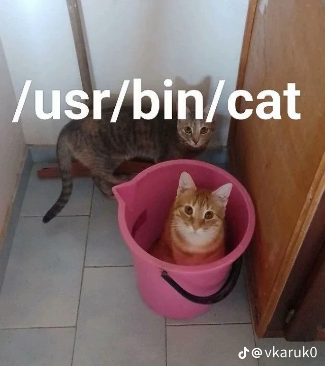 anice_guy14's tweet image. 