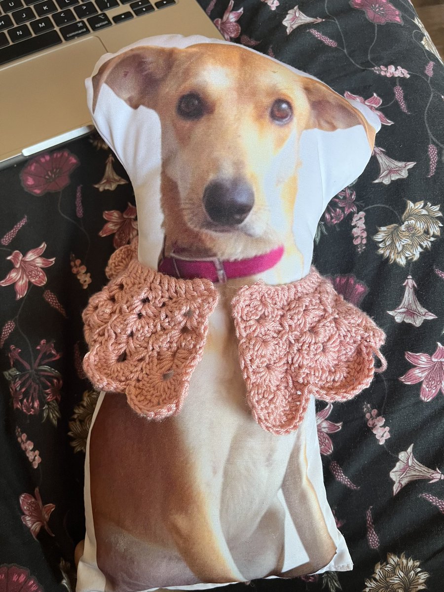 pajaritos's tweet image. Hice un cuellito de navidad 
Uno coquette 
Y estoy haciendo un coquette de gatite 
Rosado colita 

Disponibles! Colores y modelos a pedido también 

Preciosos