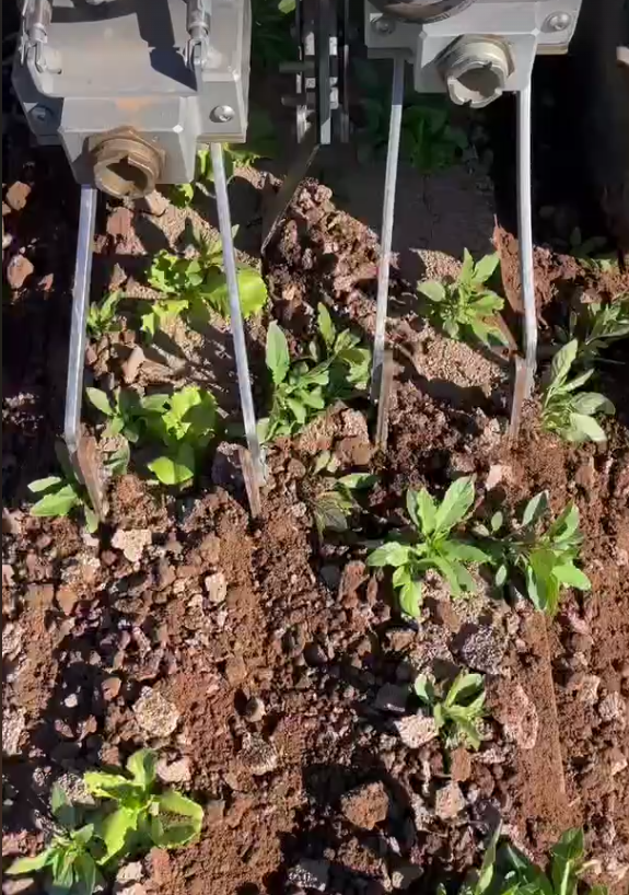 Stout Industrial Technology tweet media