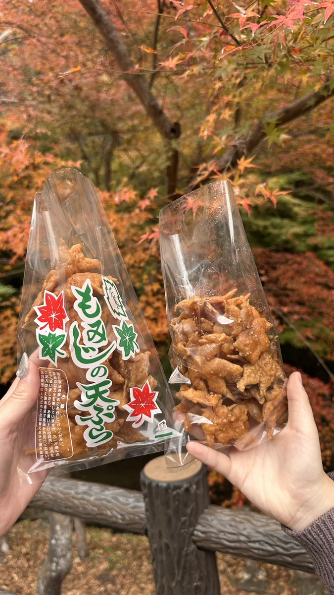 11月25日(火)🌧️曇時々雨
おはようございます♪
本日もよろしくお願いします😊