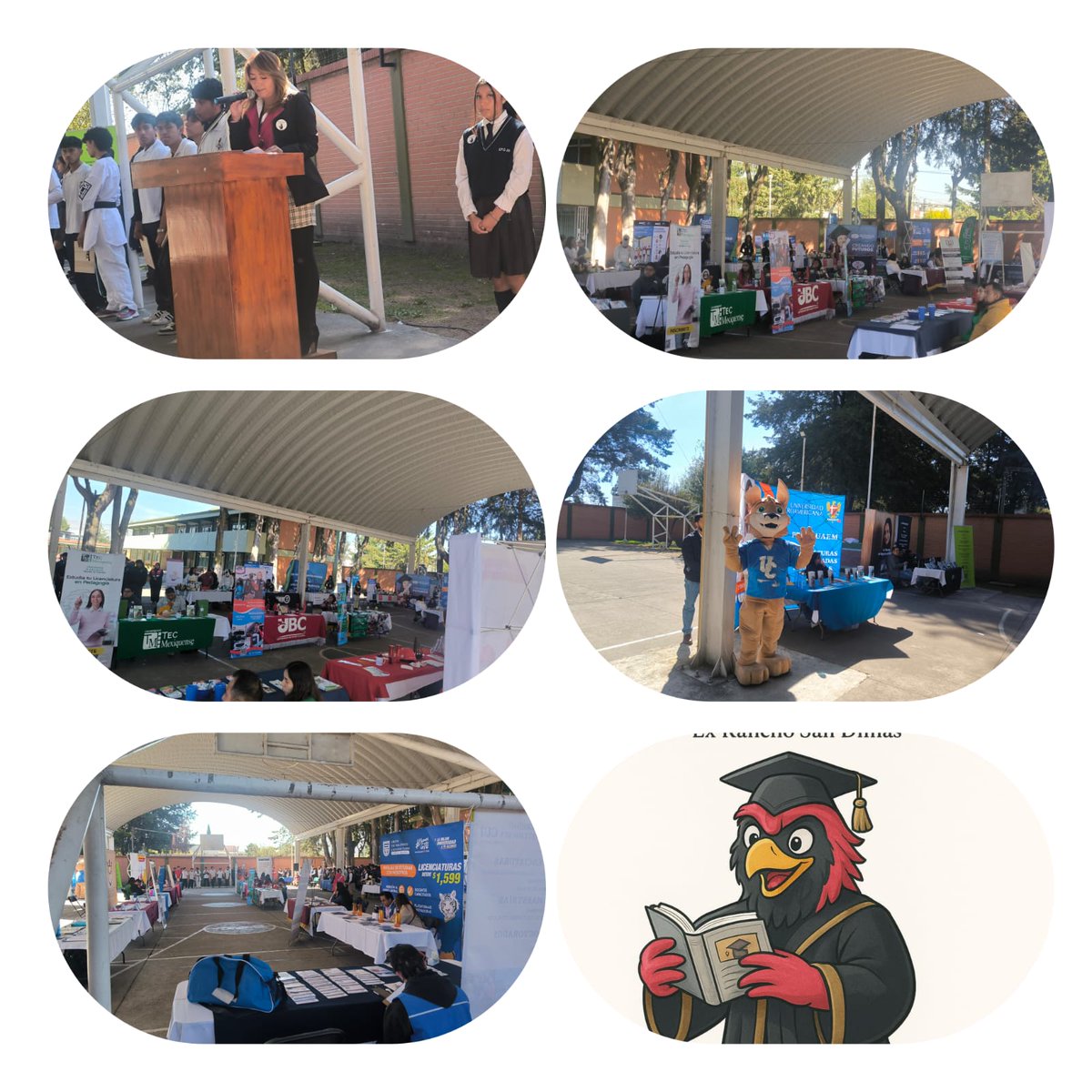 Escuela Preparatoria Oficial Núm. 245 tweet media