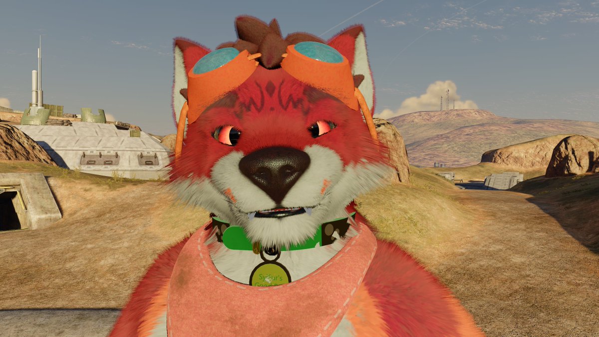 EddieWerehound tweet media