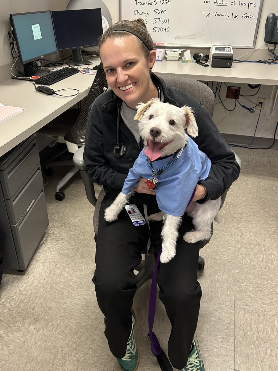 Deke here!
Today on my rounds at Summerlin Hospital I visited with my friend Miss Bella in the Pediatric Oncology Unit, then finished my shift in the ER!
Have a great week everyone!
~ Deke🐾
#TherapyDog
#PawYouNeedIsLove 
#FightLikeAKid🎗️