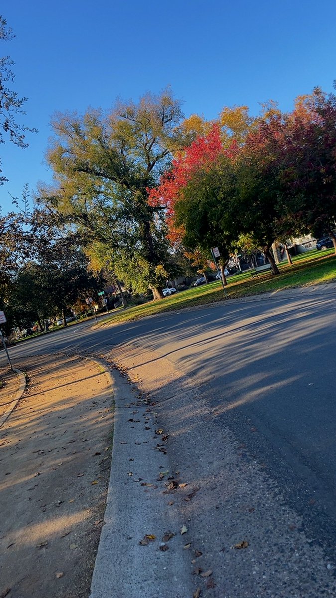 viprobynparks's tweet image. Getting back into the swing of things, with my daily walks &amp;amp; exercise.

Building momentum, 
slowly but surely 💪🏾