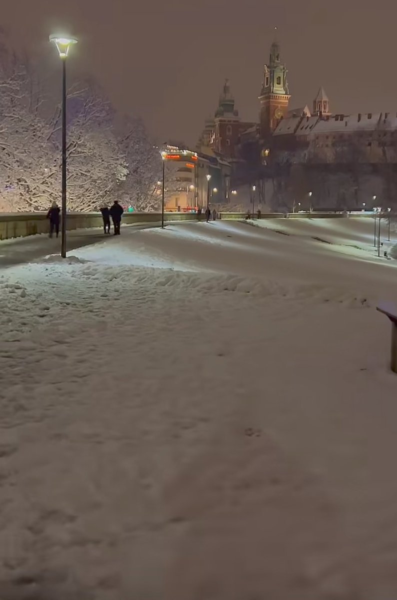 Alessandro Minoccheri tweet media