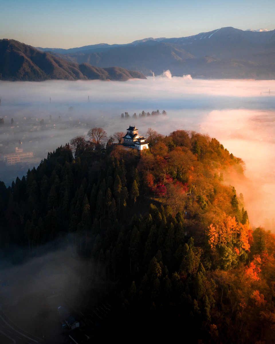 Hisa (@Hisa0808) / Posts / X