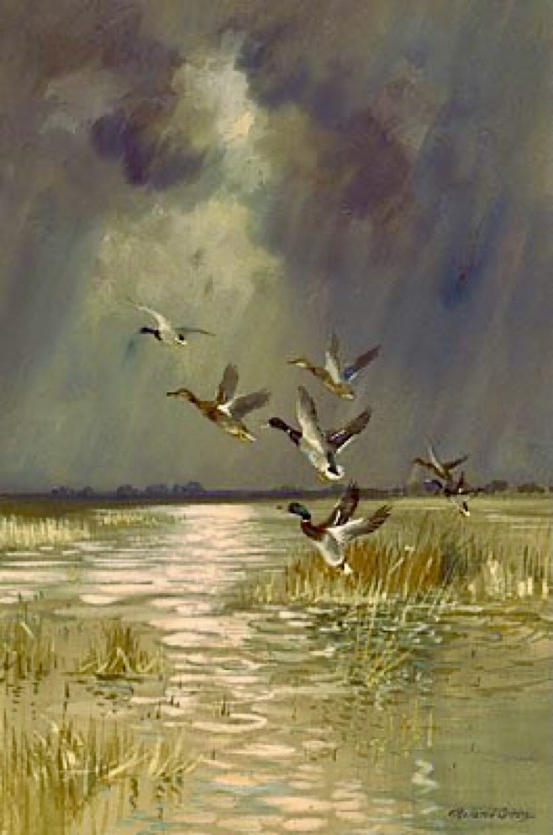Other work by the Ladybird artists. 
Mallards over the Marshes
Artist: Roland Green