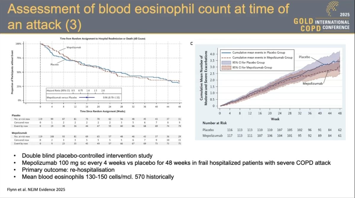 𝕵𝖔𝖗𝖌𝖊 𝕴. 𝕸𝖎𝖗𝖆𝖓𝖉𝖆 tweet media