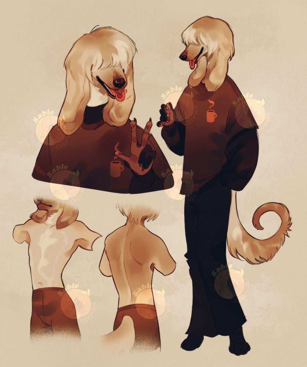 sablecitrus's tweet image. New adoptable! It’s an Afghan hound!