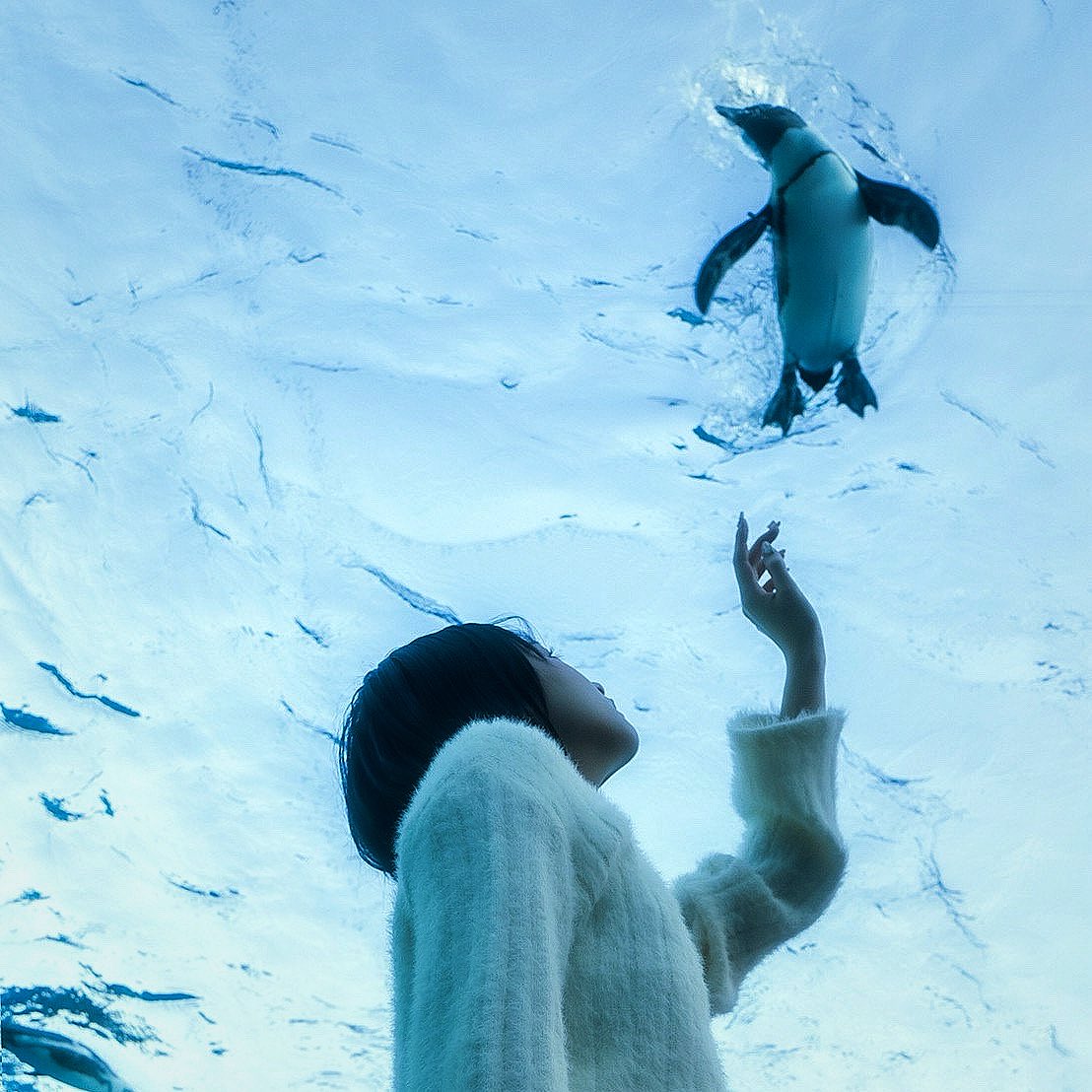 NANIMONO_rinka_'s tweet image. 都会の寂しい女の子たちが星になって昨日で4年が経ったんだ。
今日｢24h/TOKYO｣を披露したのは、きっと意味があると思うの。私は私のやり方で彼女たちが生きてた証を残していくし、都会の寂しい女の子の物語の続きを紡いでいきます︎︎𓂃⟡.·