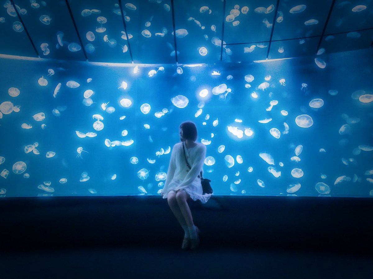 NANIMONO_rinka_'s tweet image. 都会の寂しい女の子たちが星になって昨日で4年が経ったんだ。
今日｢24h/TOKYO｣を披露したのは、きっと意味があると思うの。私は私のやり方で彼女たちが生きてた証を残していくし、都会の寂しい女の子の物語の続きを紡いでいきます︎︎𓂃⟡.·