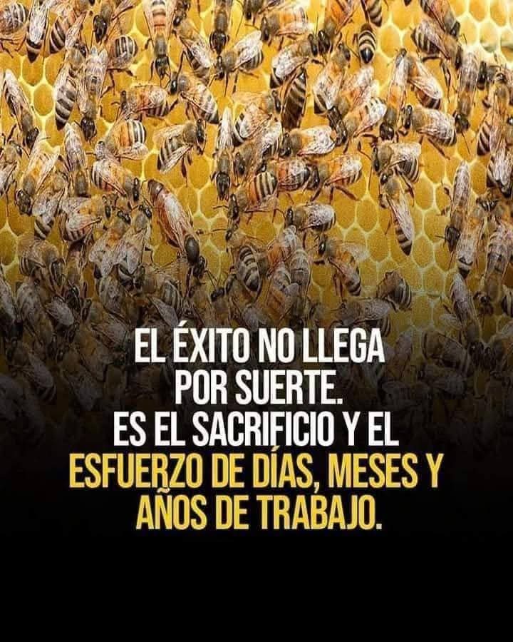 facebook.com/share/p/1FsaQn…