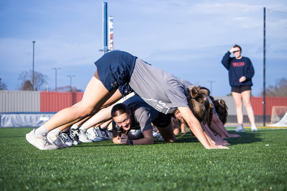 Lee Univ Softball tweet media