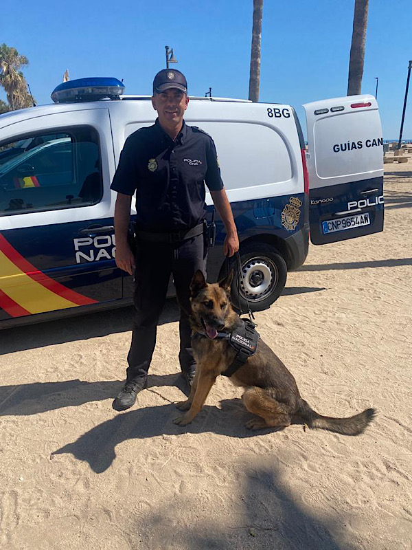 policia's tweet photo. 🐾 Un alma noble busca hogar

Tras años de servicio, este pastor belga malinois solo quiere vivir su retiro rodeado de cariño

Es afectuoso, sociable y disfruta de los paseos tranquilos 

❤️¿Le das una oportunidad? https://t.co/solkxaWbv3

#AdoptaNoCompres #AdoptaK9 https://t.co/rgboHxholY