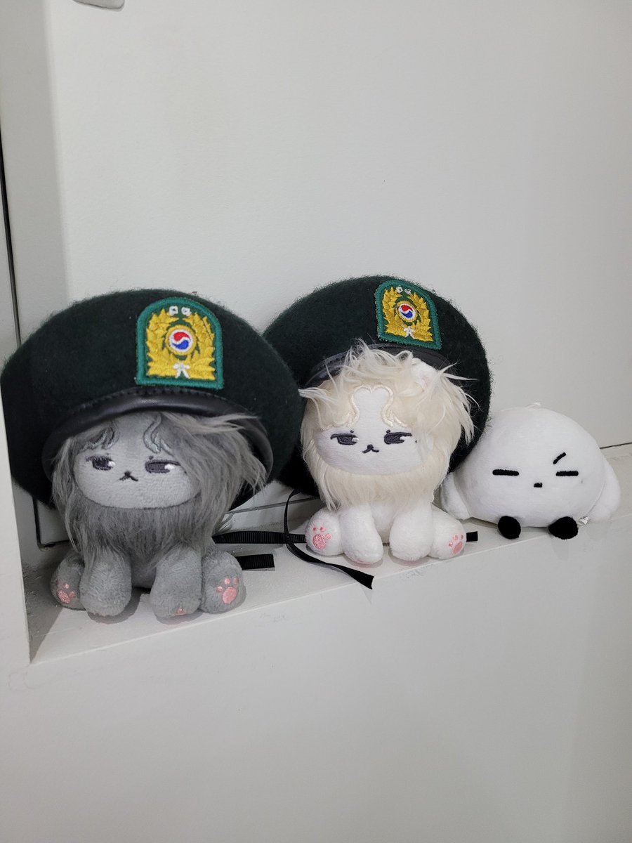 알로알로 피구리🍒 tweet media