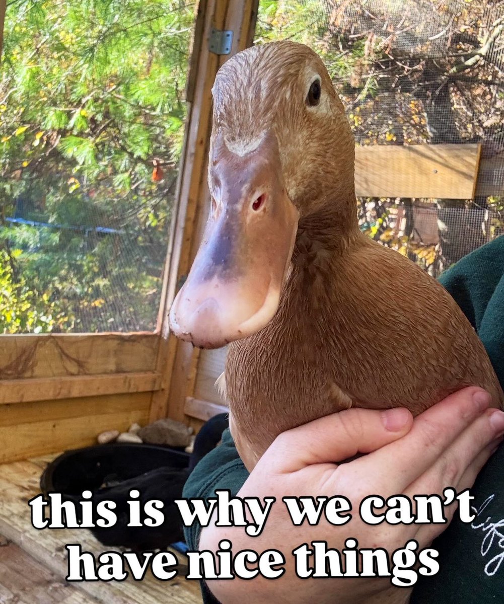 LadyInRedx tweet media