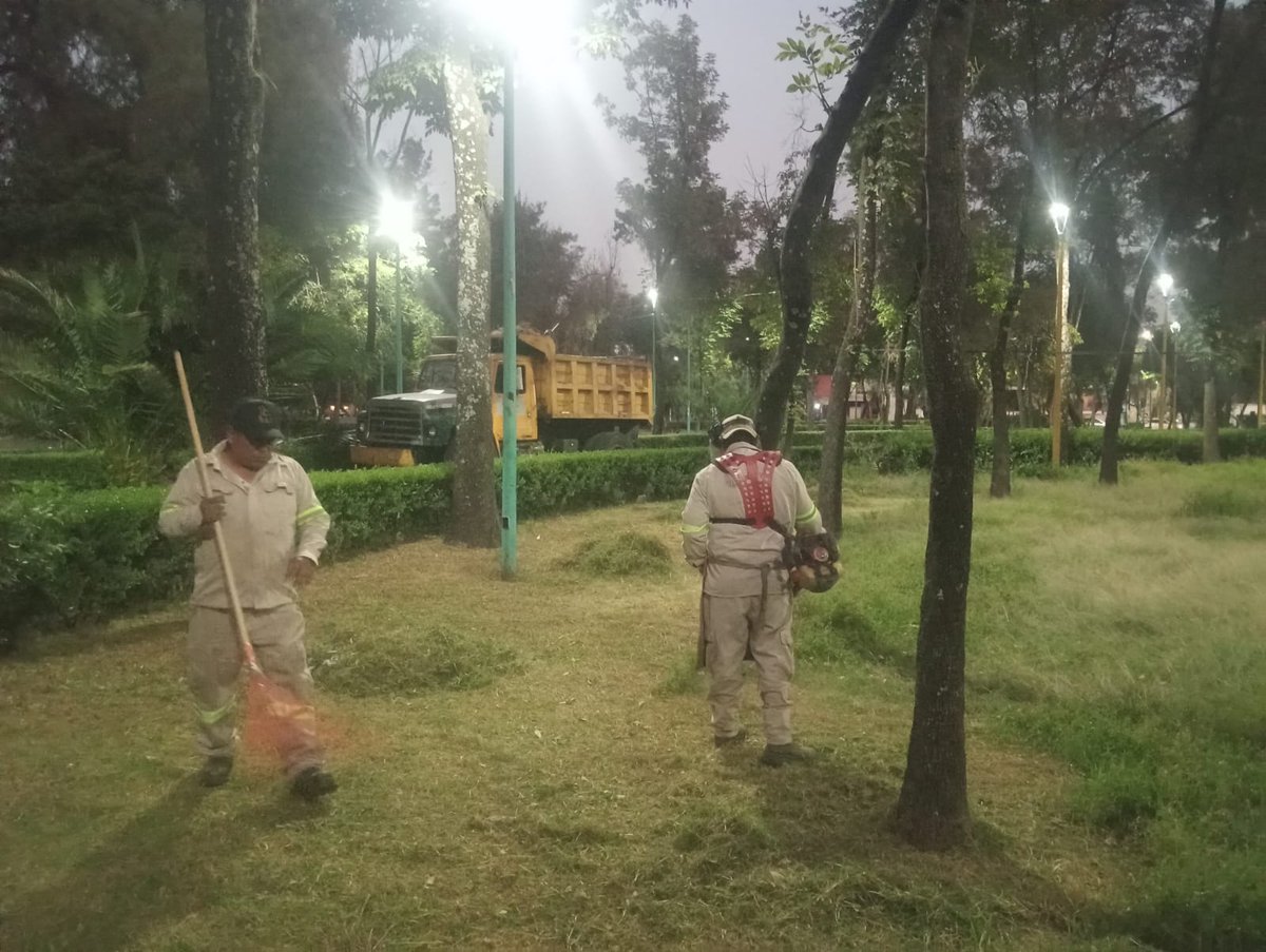 #BuenosDías☀️

Iniciamos la semana realizando labores de poda y limpieza en las áreas verdes del Parque de los Periodistas Ilustres, para mantenerlo seguro, ordenado y agradable para todas y todos.🌳🌿💚

#ServiciosUrbanos 
#ParquesYJardines 
#VCCercaDeSuGente