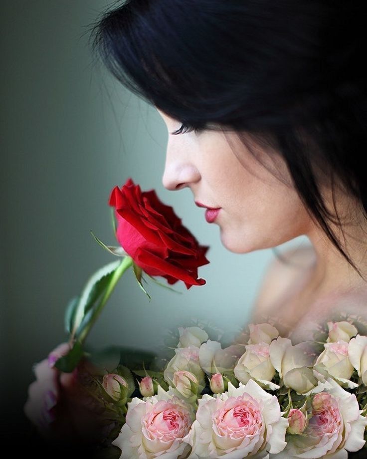 قد تتشابه الزهور..لكن هناك زهره خلقت لنكون استثناء ❤️ 👑