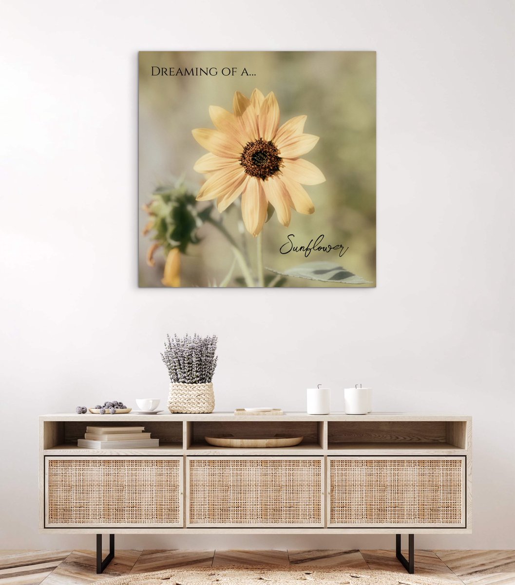 TanyaSmith24978's tweet image. Dreaming Of A Sunflower Poster zazzle.com/dreaming_of_a_… #zazzle #zazzlemade #wallart #wallartforsale #sunflower #poster #floralart #interiordecor #gifts #tanyacsmith