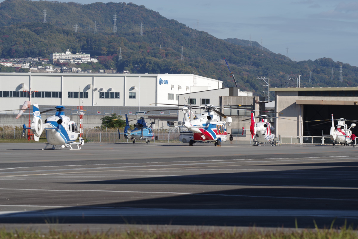 セイタカ (@uzLjYYksA4BD7f7) / Posts / X