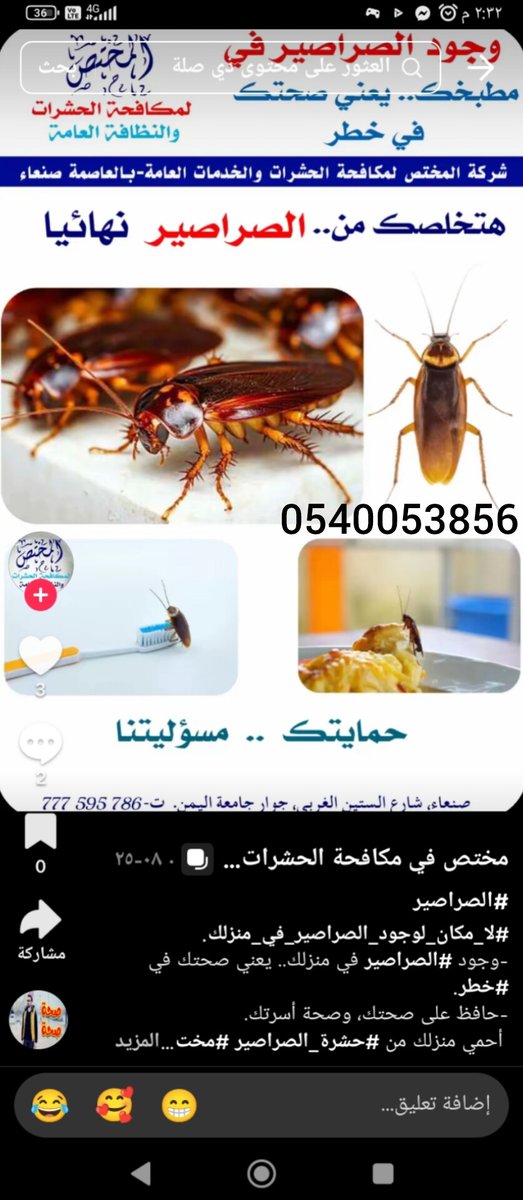 اطلب الان في الرياض القصيم جده مكه الدمام مكافحة حشرات مبيد رش مبيدات