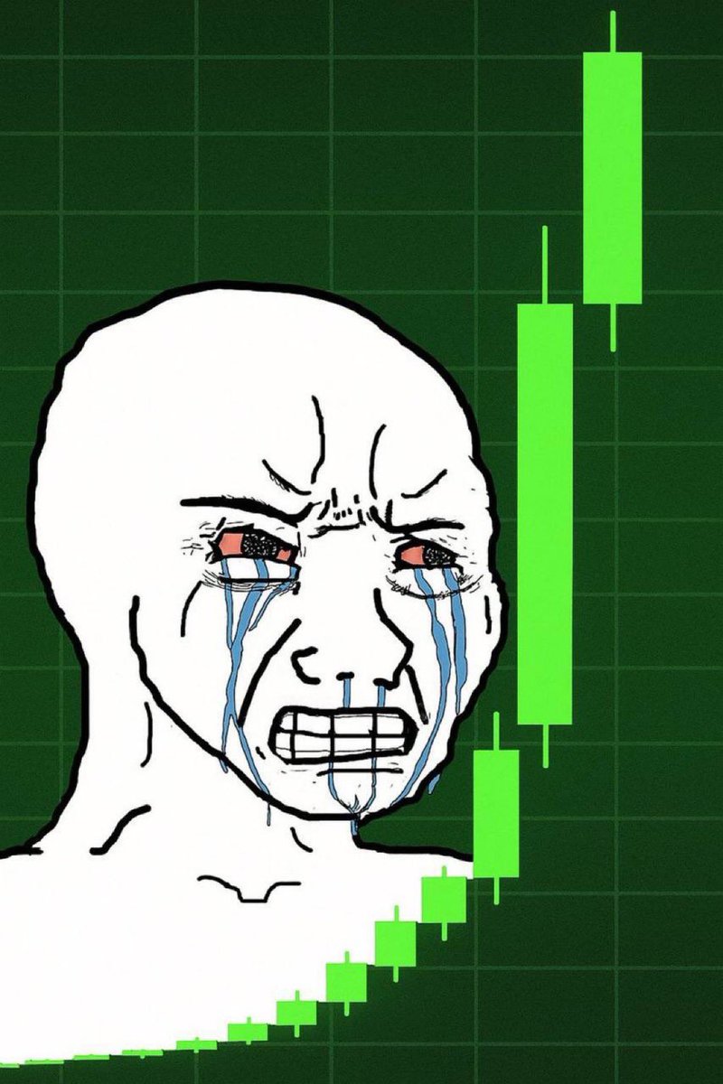 seefer 🐹🎻 (@leveleduphuman) / Posts / X