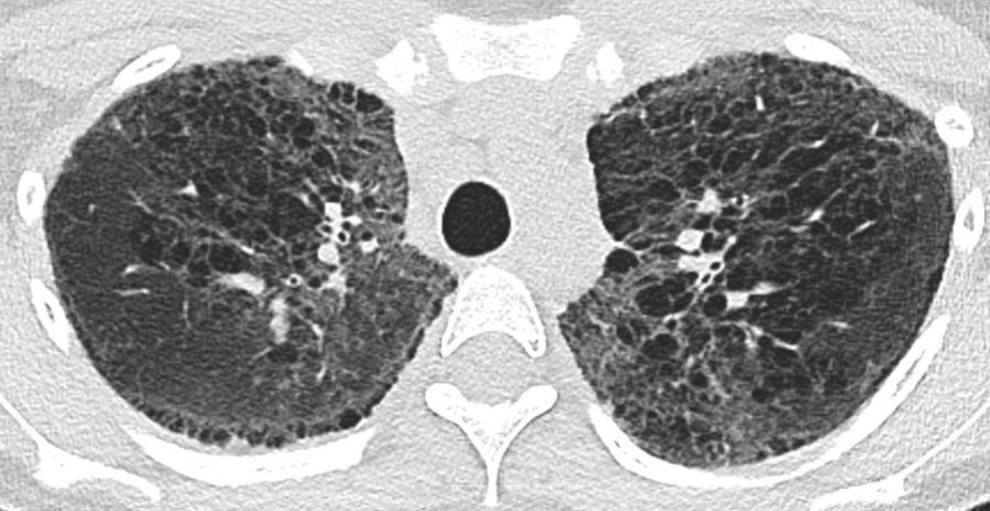 Marcos Mestas Nuñez tweet media