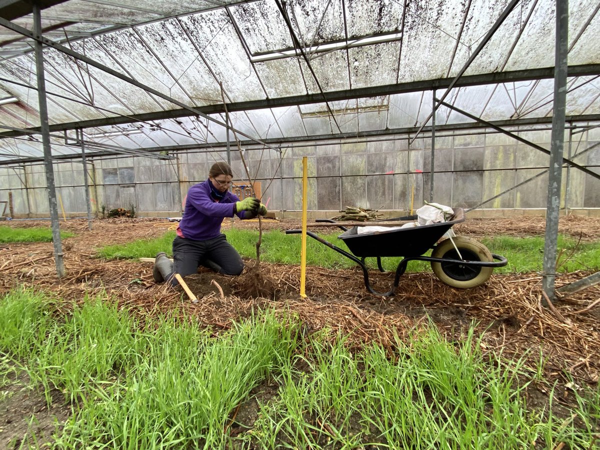 Briar Farm tweet media