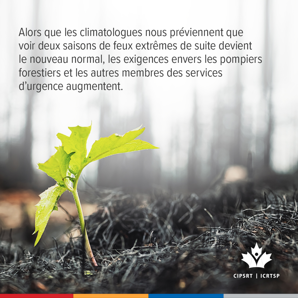 CIPSRT_ICRTSP's tweet image. Certains experts avancent qu’une agence nationale qui coordonnerait la réponse aux feux de forêt au Canada pourrait, entre autres, soutenir les pompiers en participant au déploiement des ressources partout au Canada là et quand elles sont le plus urgentes.  

Participez à la…
