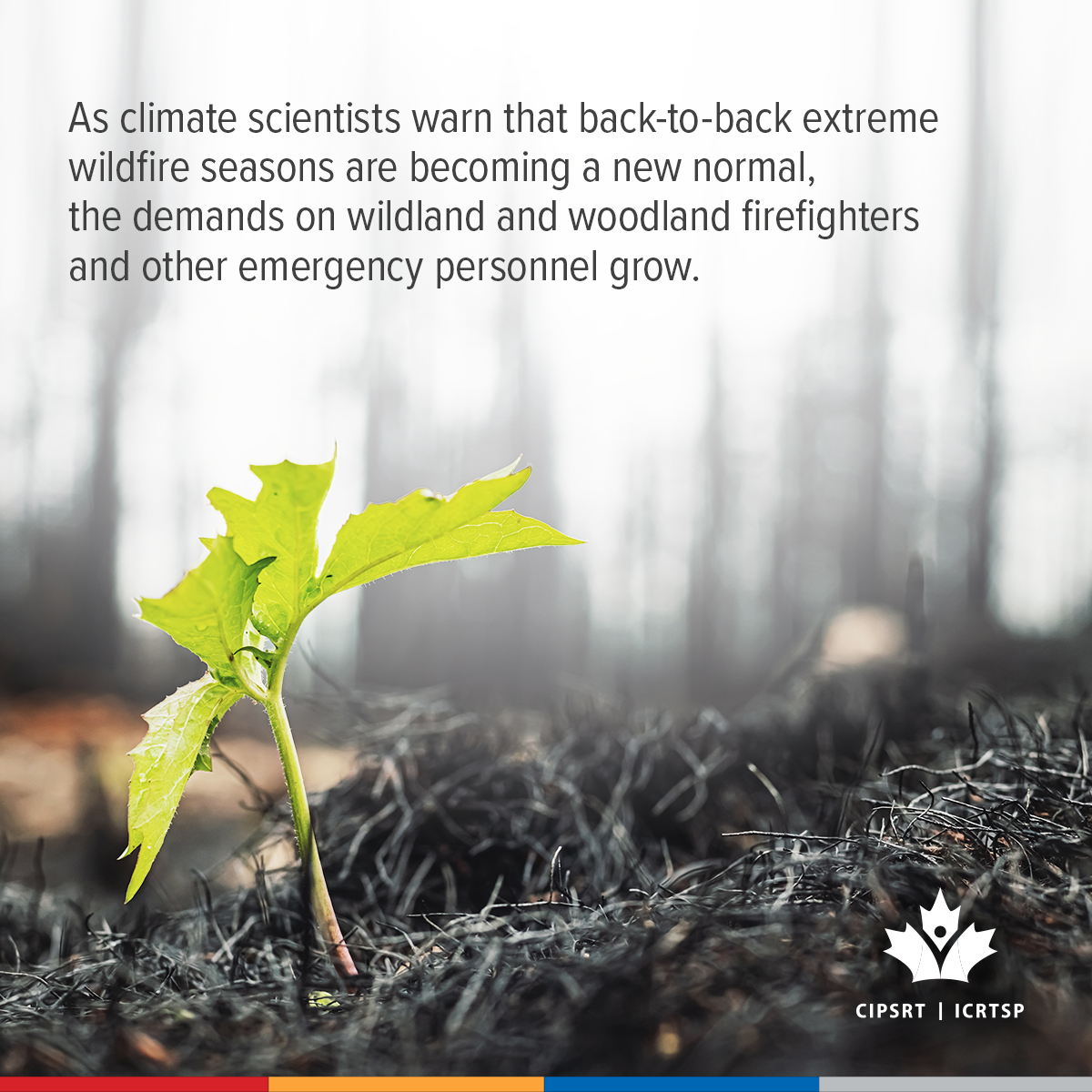 CIPSRT_ICRTSP's tweet image. Some experts argue that a national agency to coordinate Canada’s wildfire response could, among other things, support firefighters by assisting in the deployment of resources across Canada when and where they are needed most. 

Join us as we present a two-part online discussion…