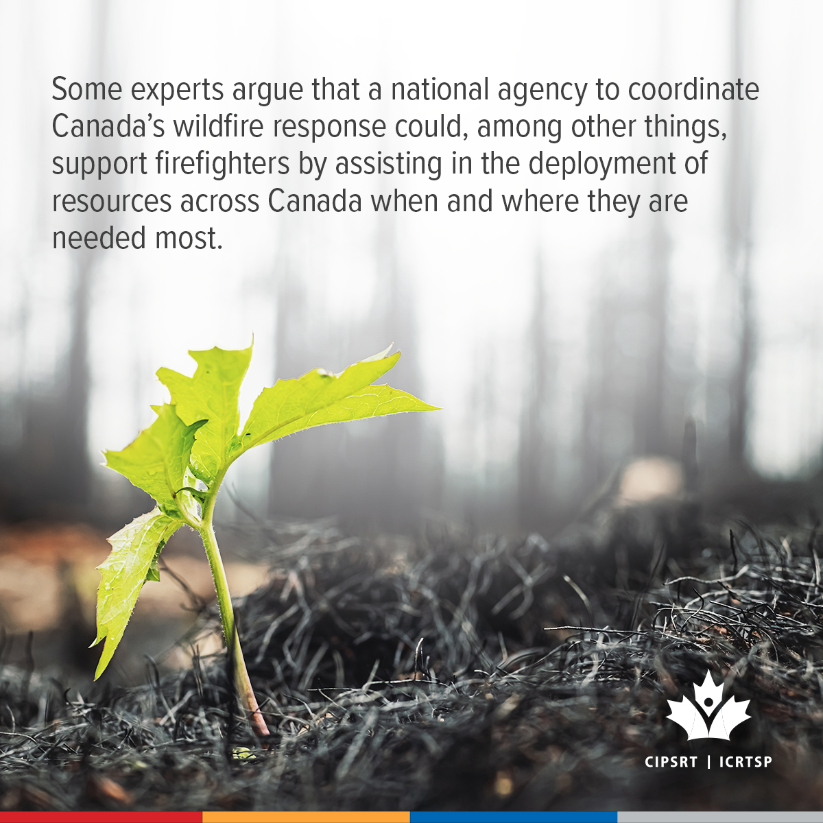 CIPSRT_ICRTSP's tweet image. Some experts argue that a national agency to coordinate Canada’s wildfire response could, among other things, support firefighters by assisting in the deployment of resources across Canada when and where they are needed most. 

Join us as we present a two-part online discussion…