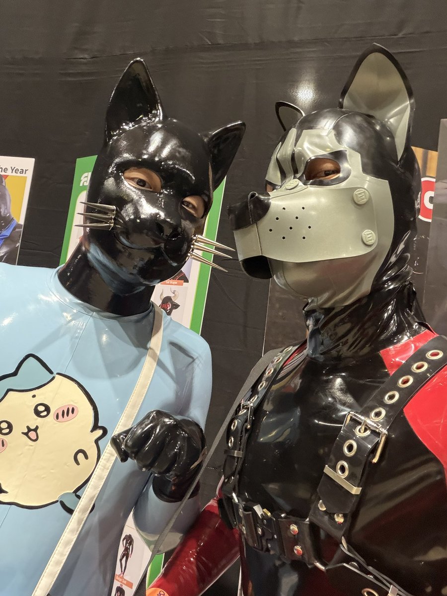 Meow 😺
Let's meet Leo from Vietnam in Bangkok Fetish Ball 
cute and ready to hug doggy🫂👍

❤️🖤 <a href="/VierubAn/">VieAn_LeoRub</a>
🩵 <a href="/Boyintight/">Boyintight 😺🔜 HKG 2026 Eve Rubber MiniBall 🇭🇰</a>
😺🐶🤿 <a href="/forfunbangkok/">FORFUN</a>

<a href="/bkkfetishball/">BANGKOK FETISH BALL</a>