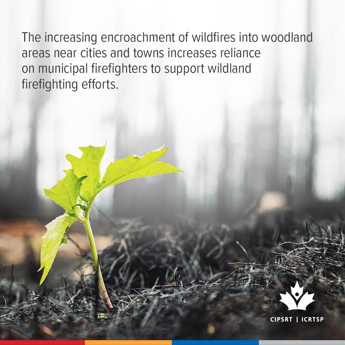 CIPSRT_ICRTSP's tweet image. Some experts argue that a national agency to coordinate Canada’s wildfire response could, among other things, support firefighters by assisting in the deployment of resources across Canada when and where they are needed most. 

Join us as we present a two-part online discussion…