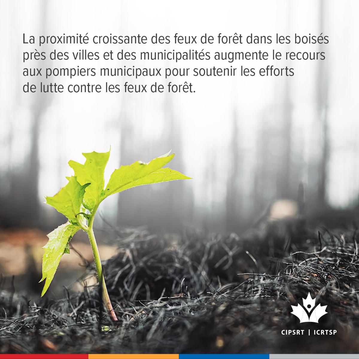 CIPSRT_ICRTSP's tweet image. Certains experts avancent qu’une agence nationale qui coordonnerait la réponse aux feux de forêt au Canada pourrait, entre autres, soutenir les pompiers en participant au déploiement des ressources partout au Canada là et quand elles sont le plus urgentes.  

Participez à la…