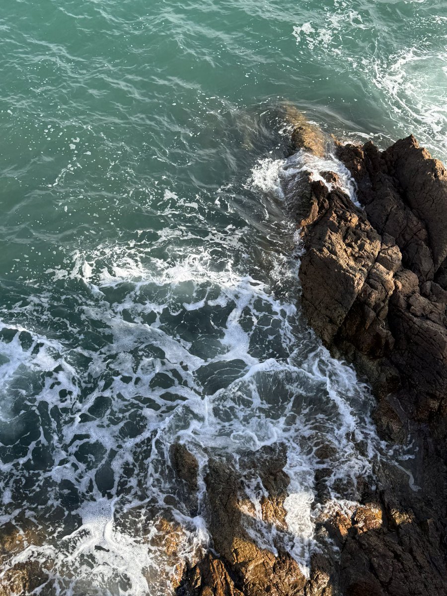 12点了，89的老狗又年长了一岁。
陌生人，可以祝我生日快乐么