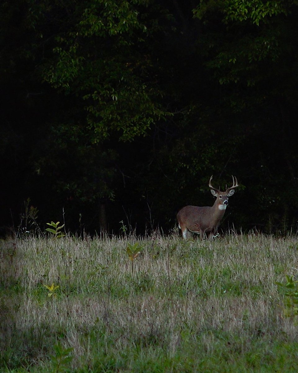 How's your season going?