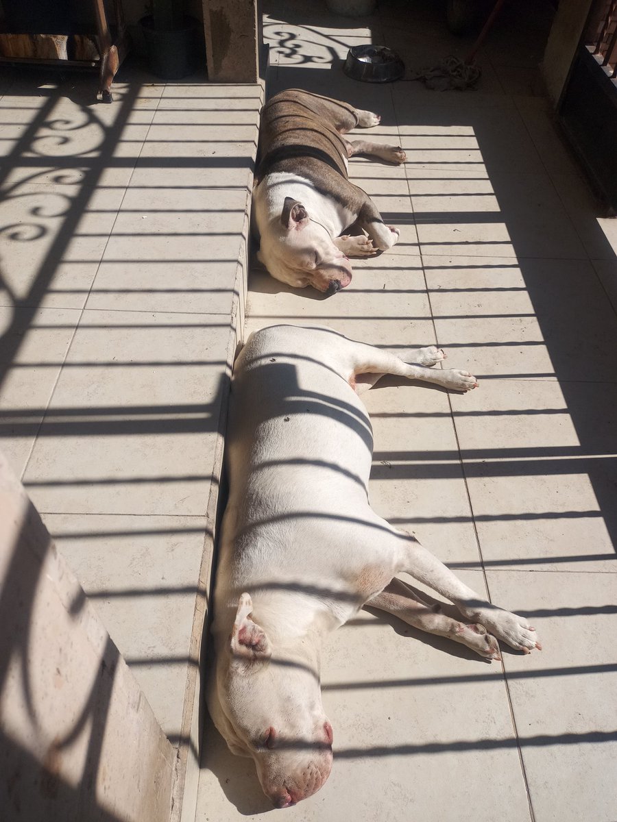 Lunes, sales con toda la actitud, con ganas de comerte el mundo y te topas con esto...Que envidia carajo!!!