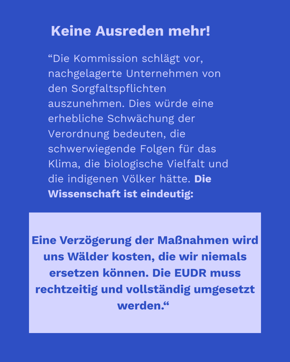 Martin Günther tweet media