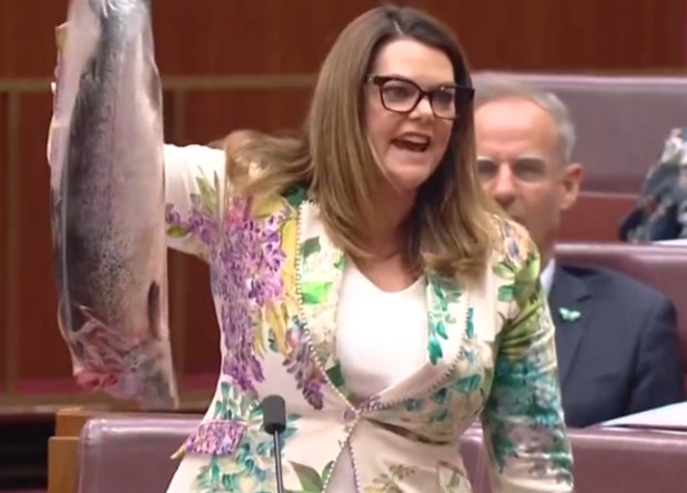 TRobinsonNewEra's tweet image. The same politicians &quot;offended&quot; by @PaulineHansonOz wearing a burqa in the senate BTW.